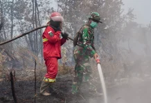 Kemenhut Pantau Kualitas Udara di Wilayah Karhutla