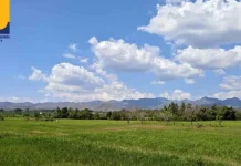 Kementerian PU Salurkan 25 Ribu Liter Air untuk Selamatkan Sawah Sumbawa