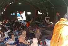 Gempa Susulan NTT Tembus 10.232 Kali, Terbesar M6,2 dan 157 Dirasakan Warga