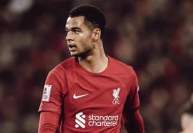 Cody Gakpo Pilih Manchester City, Transfer Makin Dekat