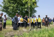 DPR Ingatkan Warga Hemat Air Hadapi Dampak El Nino