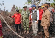 Menhut: Penegakan Hukum Karhutla Tak Pandang Bulu
