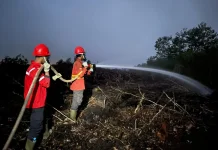 Pengendalian Karhutla di Luar Areal PT BMH Terus Diperkuat