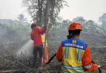 Pemerintah Padamkan Karhutla 100 Hektare di Sumatra dan Kalimantan