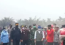 BMKG Kejar Awan Hujan Padamkan Karhutla Jambi, OMC Berlanjut hingga September 2026