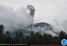 PVMBG Catat Erupsi Gunung Ibu, Kolom Abu Capai 1.825 Meter di Atas Laut