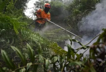 Perum Bulog Siap Kirim Bantuan Beras bagi Warga Terdampak Karhutla di Lapangan