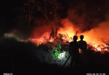 Kualitas Udara Kalbar Berbahaya, Jarak Pandang di Bawah 1 Kilometer