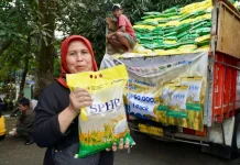 Inflasi Beras Agustus 2026 Turun, CBP Disalurkan 1,9 Juta Ton