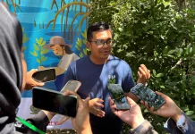 Mangrove Rusak, Risiko Bencana dan Kepunahan Biota Laut Mengancam