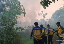 Kementerian PU Kerahkan Personel dan Pompa Tangani Karhutla di Kapuas