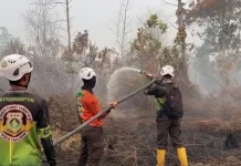 BMKG Deteksi 2.434 Titik Panas di Kalimantan Barat, Waspadai Karhutla