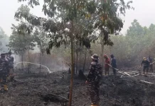 Kebakaran Lahan di Banjarmasin Capai 3,1 Hektare