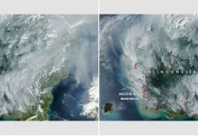 Satelit NASA Ikut Pantau Titik Kebakaran di Kalimantan