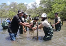 Gen Z Didorong Ubah Simpati Menjadi Aksi Nyata Pelestarian Alam