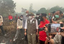 Menhut: Titik Panas Turun, Kondisi Karhutla Kalbar Belum Baik