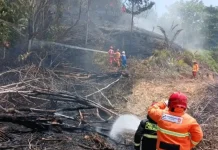 Karhutla di Tarakan Berkurang usai Diguyur Hujan