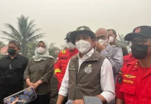 Lima Perusahaan di Kalbar Terancam Sanksi Pidana