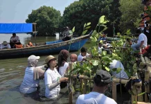 Kabupaten Bekasi Tanam 1.500 Pohon Mangrove di Pesisir Muaragembong