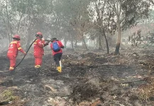 Dua Bulan Nonstop, Manggala Agni Berjibaku Padamkan Karhutla Kalbar