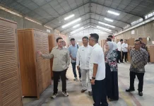 Dari Penggergajian Klaten, Langkah Citra Fajar Utama Menembus Pasar Global