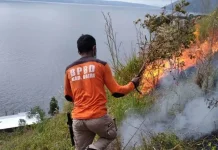 Ribuan Titik Panas Tersebar di 9 Provinsi Sumatra, Tetinggi di Sumsel