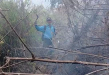 Karhutla Meluas di Lima Pegunungan Jatim, BNPB Tutup Aktivitas Pendakian