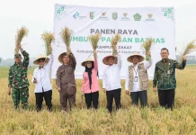 Panen Raya Lumbung Pangan BAZNAS di Pesawaran, Petani Tunaikan Zakat Pertanian