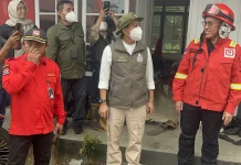 Tangani Dampak Karhutla, Kemenhut Perkuat Call Center Penyelamatan Satwa