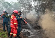Dua Bulan di Garis Api, Manggala Agni Bertahan di tengah Asap