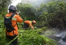 BRIN Ungkap Perkembangan Inovasi Tepung Singkong untuk Memadamkan Karhutla