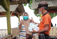 KLH Pantau Dampak Abu Vulkanik Anak Krakatau, Apa Saja Catatannya?