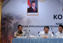 BNPB Padamkan 71.274 Hektare Lahan Gambut di Enam Provinsi
