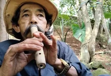 Toleat, Alat Musik Bambu dari Subang yang Punya Suara Unik