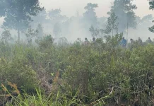 Hotspot Nasional Turun 288 Titik, Kalteng-Kalbar Menurun Signifikan