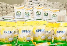 Pemerintah Perkuat Pasokan Beras SPHP, Jaga Stabilitas Harga Nasional