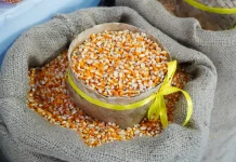 Pemerintah Tambah SPHP Jagung Pakan 150 Ribu Ton