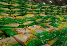 Bapanas Percepat Penyaluran Bantuan Beras pada September