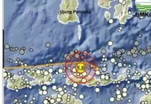 BMKG: Gempa M5 Guncang Manggarai NTT Malam ini
