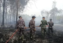 Kemlu Perkuat Koordinasi dengan Negara Tetangga Atasi Asap Karhutla