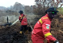 Kalsel Nihil "Hotspot", Kemenhut Fokus Penanganan Karhutla Kalbar dan Kalteng