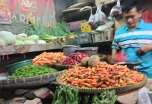 BI Laporkan Penjualan Eceran per Agustus 2026 Terindikasi Melambat