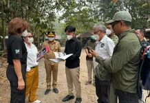 Wapres Kawal Perlindungan Satwa dan Habitatnya dalam Penanganan Karhutla