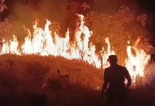 Karhutla Jabar Bakar 325,87 Hektare Lahan, 215.424 KK Terdampak Kekeringan