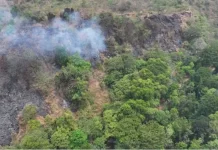 Kemenhut: Kebakaran TN Gunung Ciremai Berhasil Dipadamkan