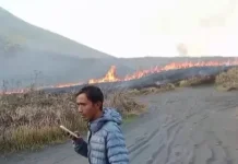 Karhutla Bromo Mengganas, Api Membakar Bukit Teletubbies dan Bergerak ke Malang