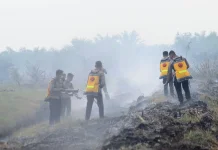 Karhutla Sungai Aur Capai 20 Hektare, Tim Gabungan Terus Lakukan Pendinginan