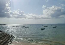 Gelombang Tinggi hingga 2,5 Meter Potensi Terjadi di Wakatobi, Ini Imbauan BMKG