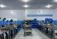 BGN Umumkan Hasil Pemeriksaan Dapur MBG, 13.761 SPPG Dinyatakan Lolos Validasi