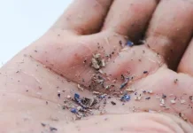 Benarkah Terhirup Mikroplastik Bisa Picu Kanker Paru-Paru? Ini Penjelasannya